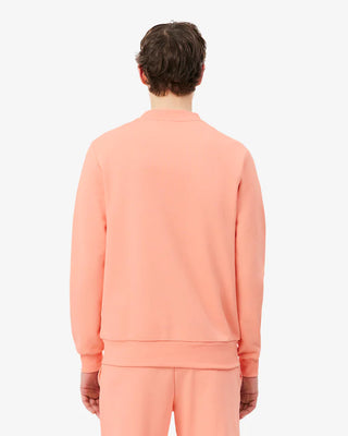 LACOSTE CLASSIC FIT COTTON SWEATSHIRT MIAMI SH9801
