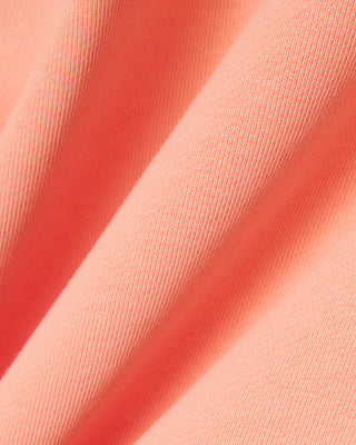 LACOSTE CLASSIC FIT COTTON SWEATSHIRT MIAMI SH9801